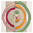 tiny-2 studie.png
