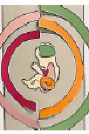 tiny-2 studie