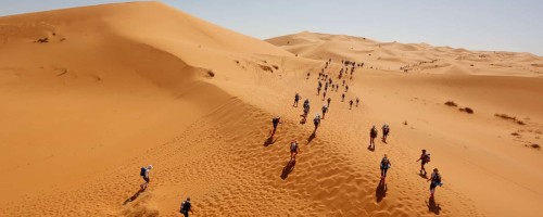 Runners-at-Marathon-des-Sables.jpg