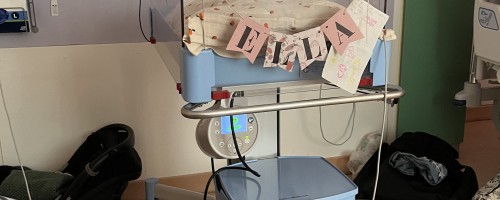 IMG_5272.jpeg