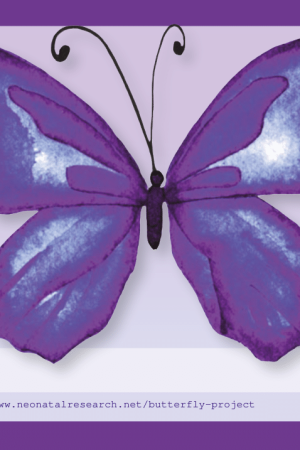 Butterfly_NR_web-1-1.png