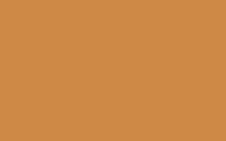 Brons.png