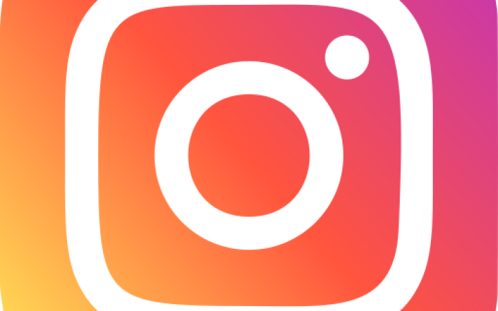 Instagram button